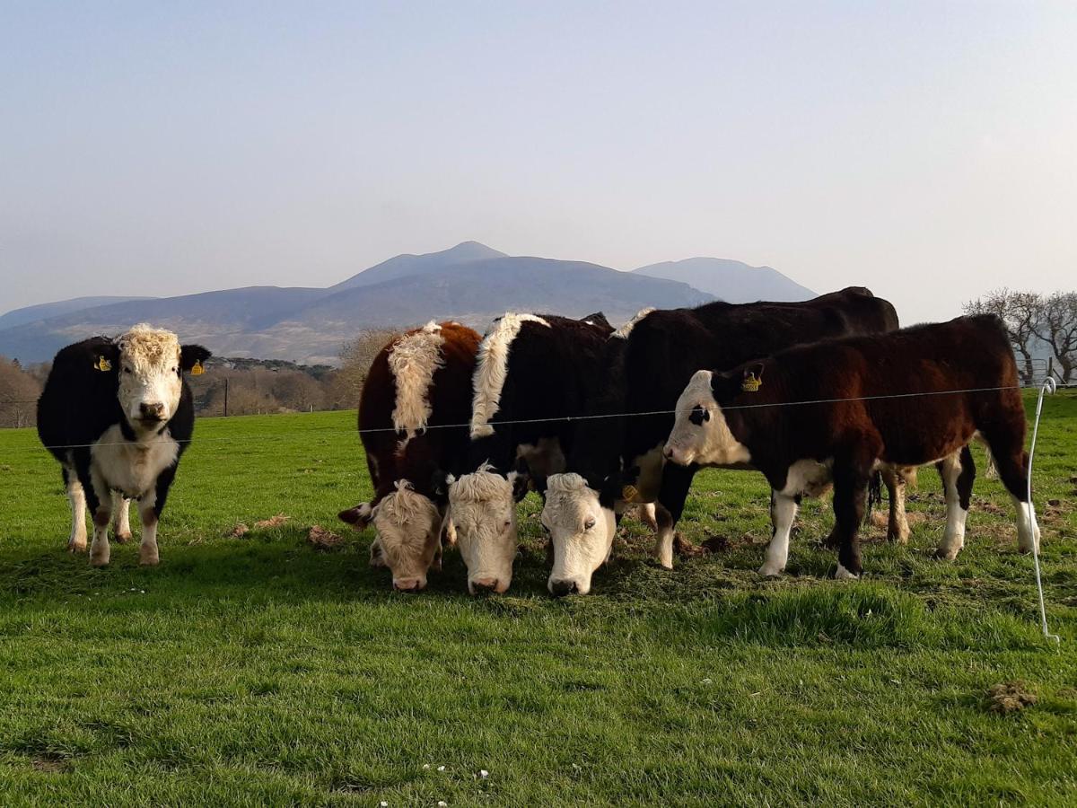 Inveraray Farm Beaufort ภายนอก รูปภาพ