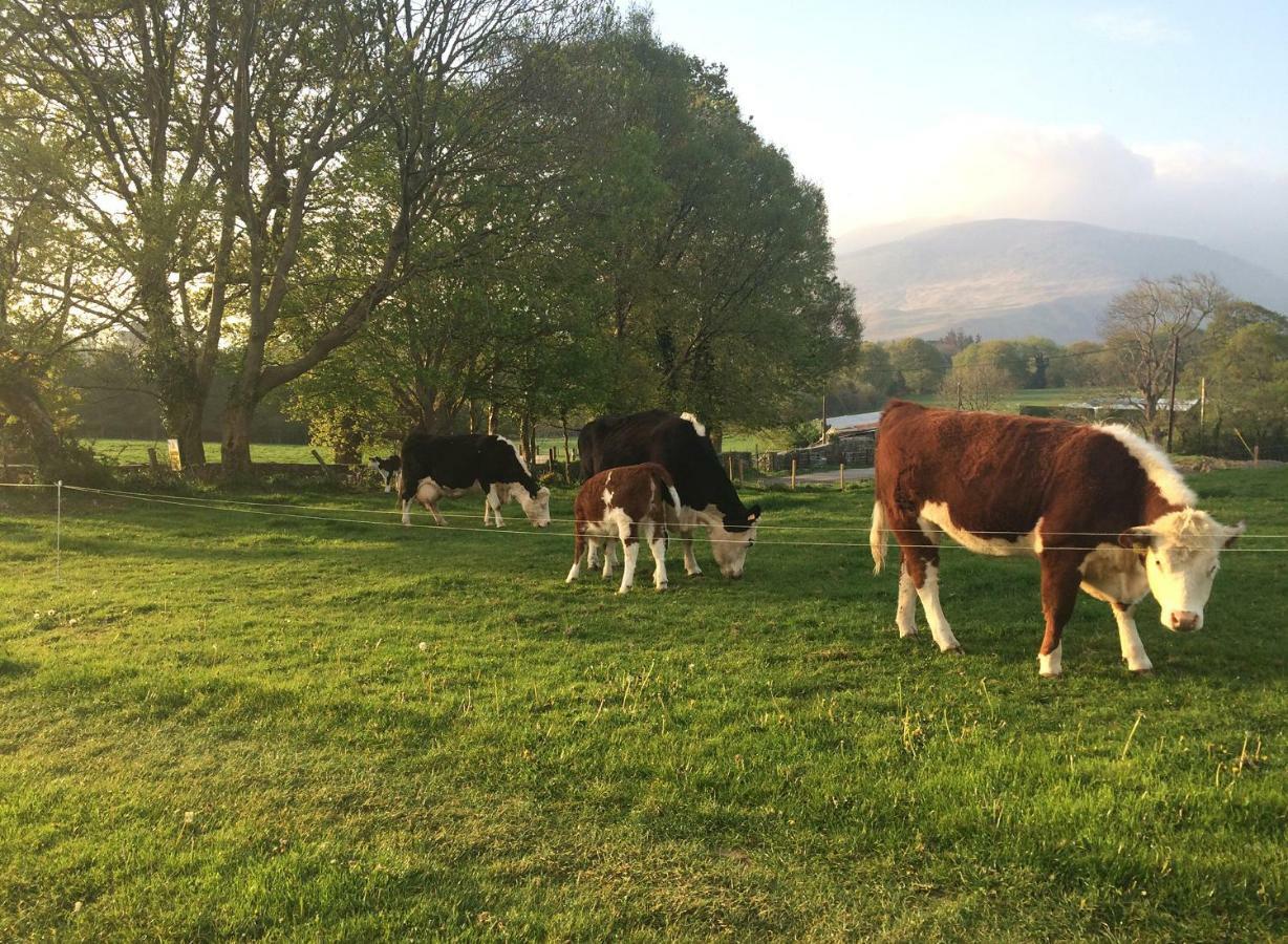 Inveraray Farm Beaufort ภายนอก รูปภาพ